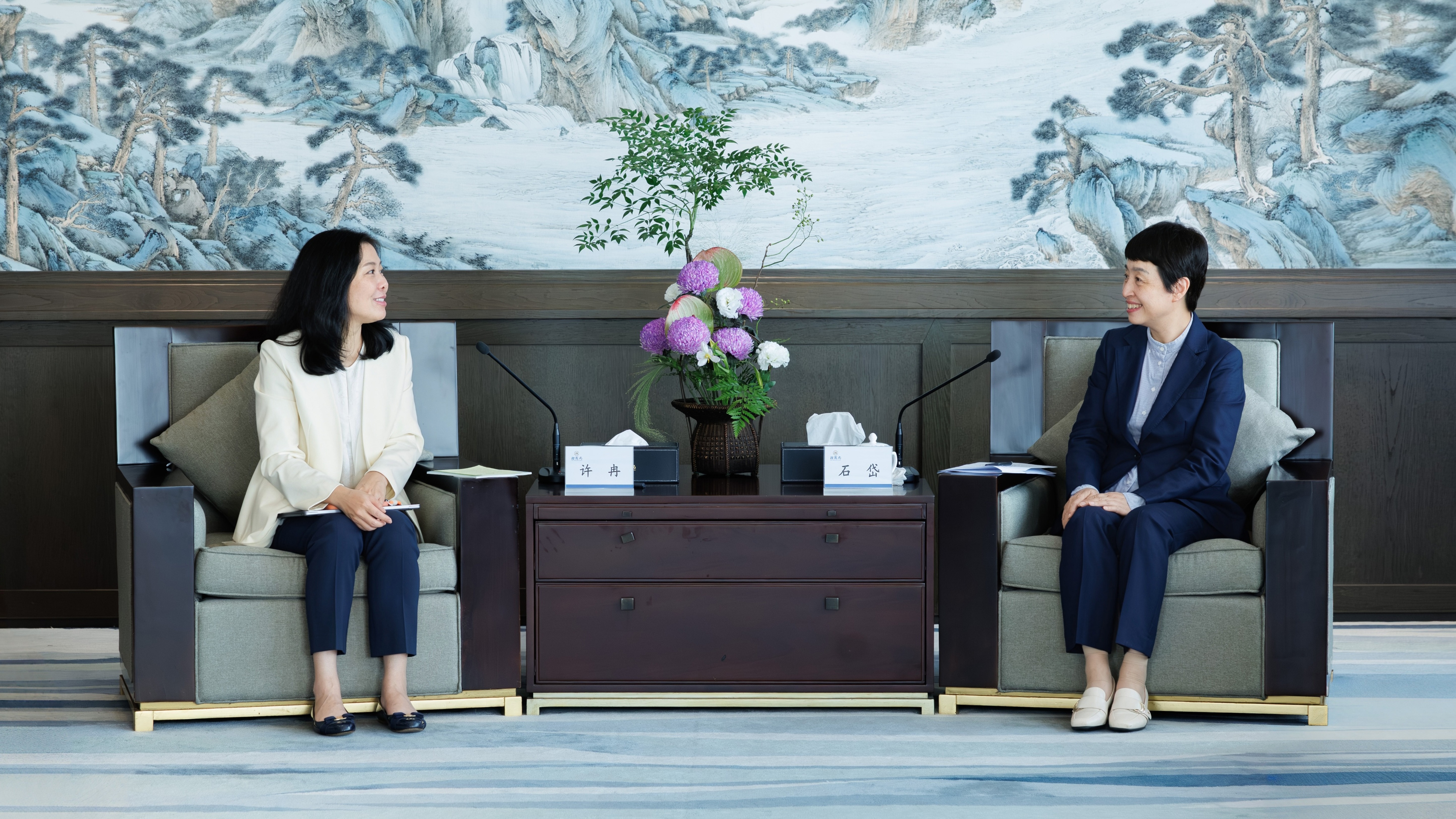 石岱会见京东集团首席执行官许冉